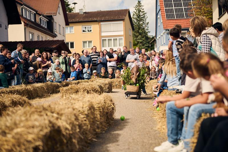 menschen die dabei zusehen wie ein Kind einem PlastikSchwein hinterher rennt.
