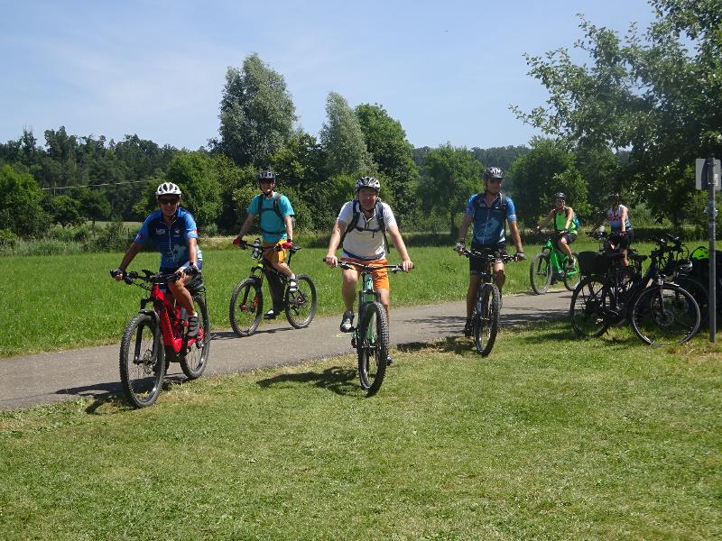 Sieben Fahrradfahrer auf einer Wiese die fahren