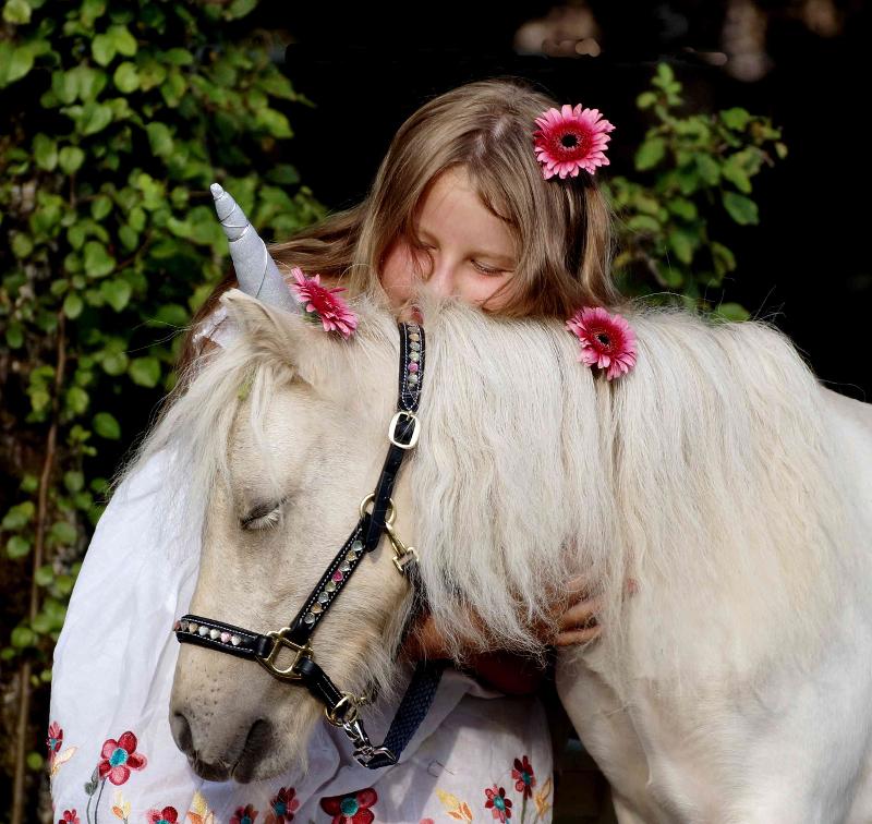 Mädchen mit weißem Pferd mit Blumen im Haar