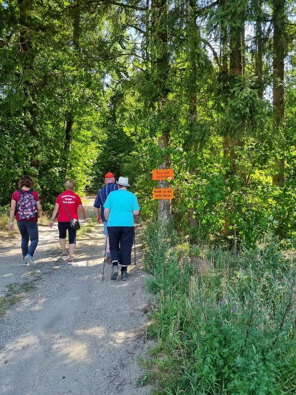 Wanderung durch den Wald