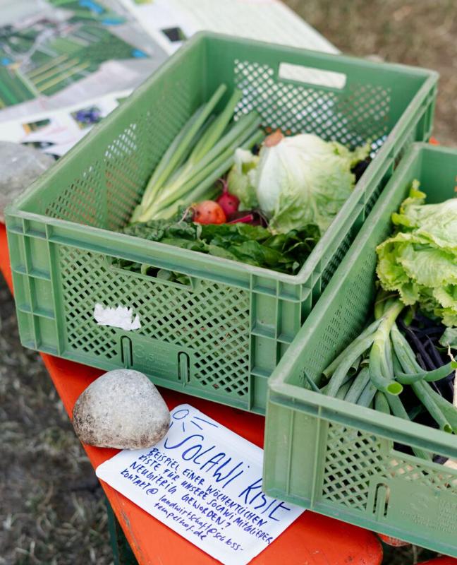 Bild von der Bio-Gemüsekiste