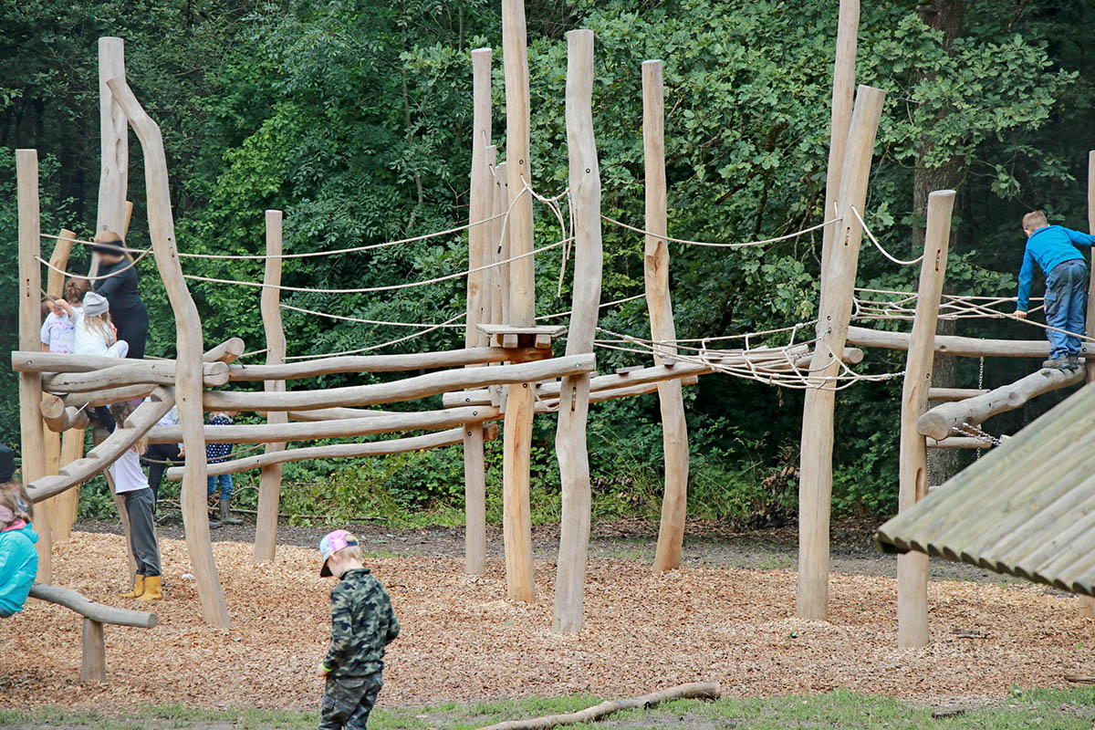 Kinder auf einem Spielplatz umgeben von Wald