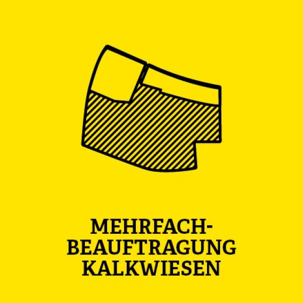 gelbe Kachel mit Kartenauschnitt in der Mitte und unten der Aufschrift Mehrfachbeauftragung Kalkwiesen