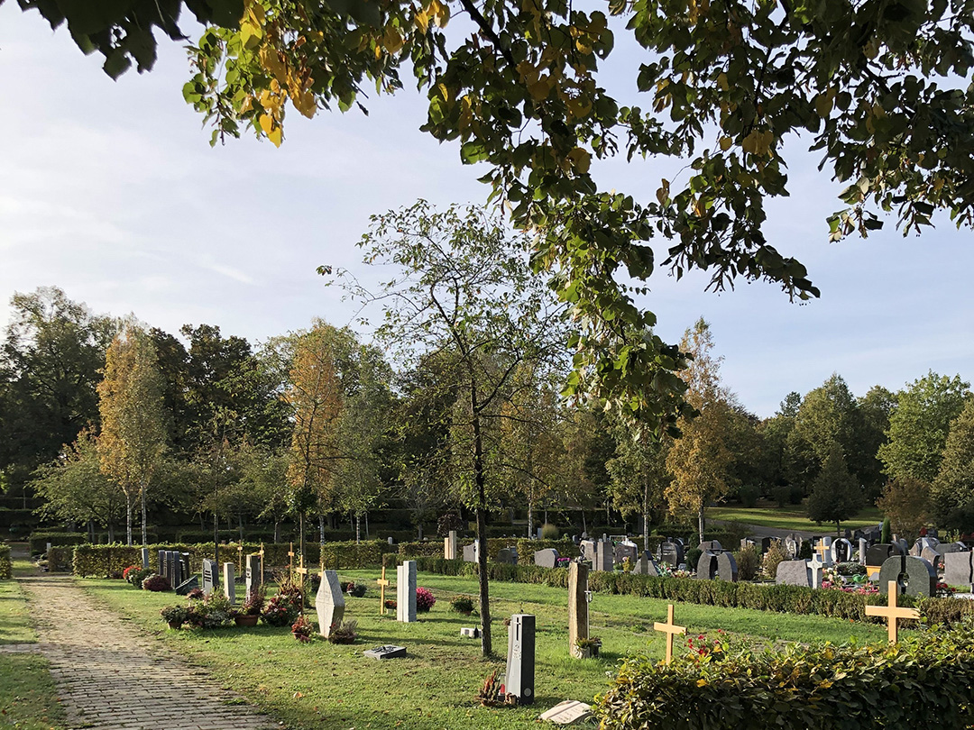 Ein grüner Friedhof mit verschiedenen Grabmalen